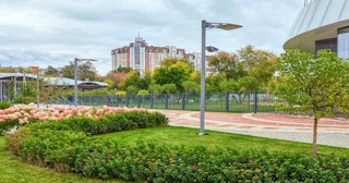 Профессиональное озеленение улиц в Ейске в октябре