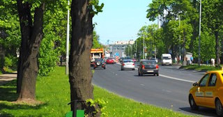 Посадка деревьев и кустарников в Ейске — стоимость от 1237 руб.